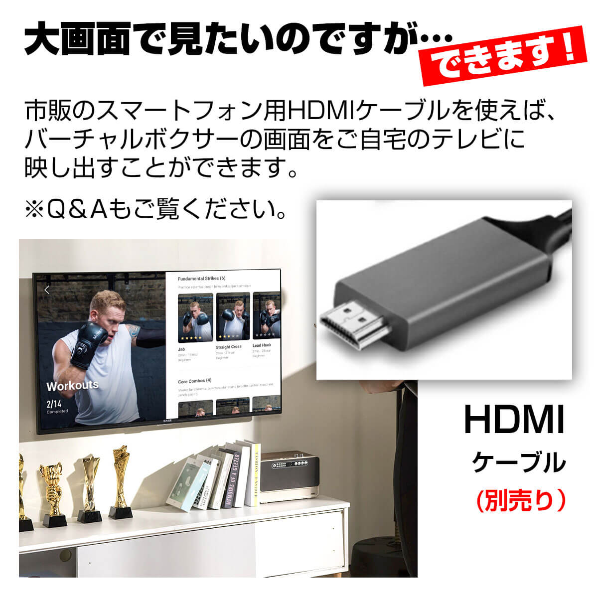 TVなどの大画面でのトレーニングも可能